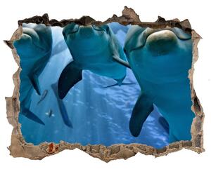 Fali matrica lyuk a falban Három delfinek
