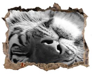 Lyuk 3d fali matrica Alvó tigris
