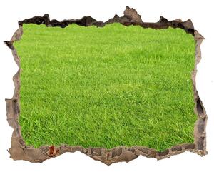 Lyuk 3d fali matrica Zöld fű