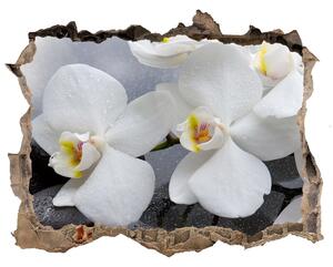 Lyuk 3d fali matrica Orchidea