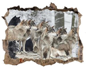 Lyuk 3d fali matrica Matrica wolves télen