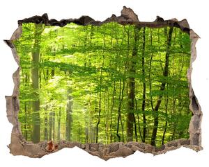 Lyuk 3d fali matrica Lombhullató erdő
