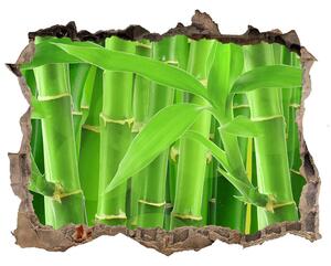 Lyuk 3d fali matrica Bambuszok