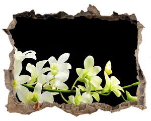 Lyuk 3d fali matrica Orchidea