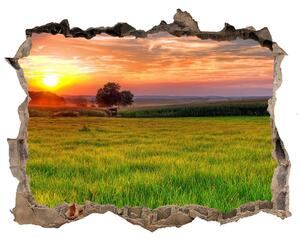 Lyuk 3d fali matrica Sunset meadow
