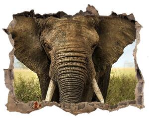 Lyuk 3d fali matrica Elefánt a szavannán