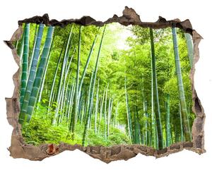 3d-s lyukat fali matrica Bambusz erdő