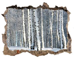 3d-s lyukat fali matrica Erdőben télen