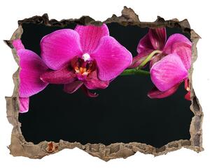 3d-s lyukat fali matrica Orchidea