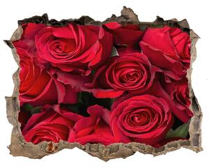 3d-s lyukat fali matrica Vörös rózsák