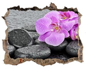 3d-s lyukat fali matrica Orchideák kövek