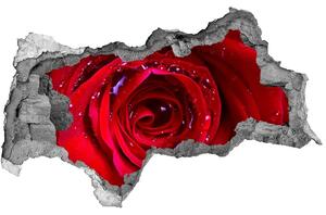 Fali matrica lyuk a falban Rózsa virág
