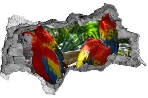 Fali matrica lyuk a falban Papagájok ara