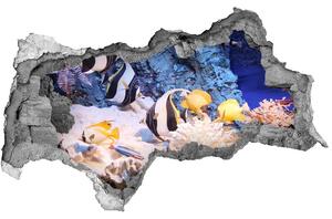 Fali matrica lyuk a falban Korallzátony