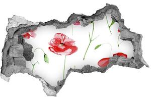 Fali matrica lyuk a falban Maki