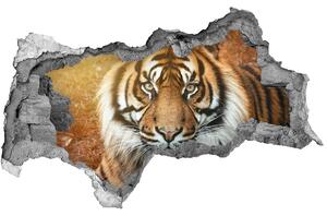 3d fali matrica lyuk a falban Bengáli tigris