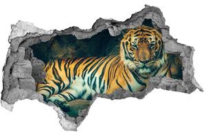 3d fali matrica lyuk a falban Tiger cave