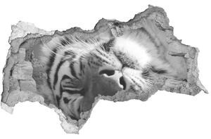 3d fali matrica lyuk a falban Alvó tigris