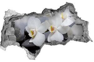3d fali matrica lyuk a falban Orchidea