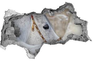 3d fali matrica lyuk a falban Fehér arab ló