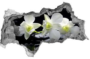 3d lyuk fal dekoráció Orchidea