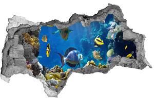 3d lyuk fal dekoráció Korallzátony