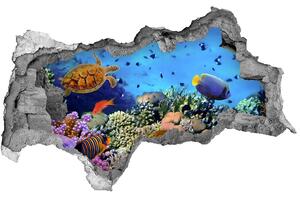 3d lyuk fal dekoráció Korallzátony