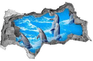 3d lyuk fal dekoráció Delfinek
