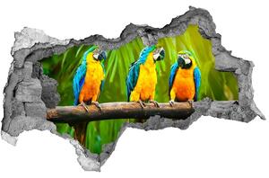 3d lyuk fal dekoráció Papagájok, elágazik