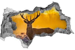 3d lyuk fal dekoráció Deer napkelte