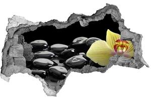 3d lyuk fal dekoráció Orchidea