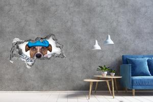 3d lyuk fal dekoráció Beteg kutya