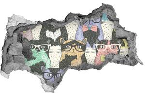 3d lyuk fal dekoráció Macskák szemüveg