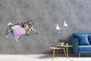 3d lyuk fal dekoráció Macska motkami