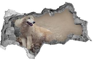 3d lyuk fal dekoráció Fehér farkas a rock
