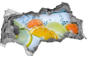 3d lyuk fal dekoráció Citrus víz alatt