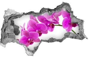 3d-s lyukat fali matrica Rózsaszín orchidea