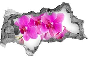 3d-s lyukat fali matrica Rózsaszín orchidea