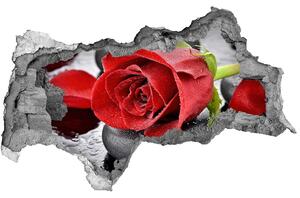 3d-s lyukat fali matrica Vörös rózsa
