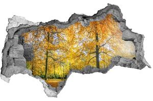 3d-s lyukat fali matrica Erdő ősszel