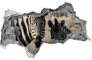 3d-s lyukat fali matrica Két zebrák