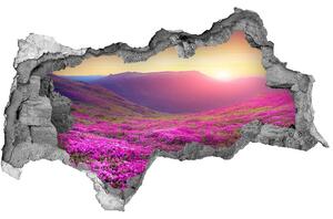 3d-s lyukat fali matrica Rózsaszín domb