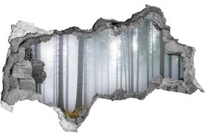 3d-s lyukat fali matrica Köd az erdőben