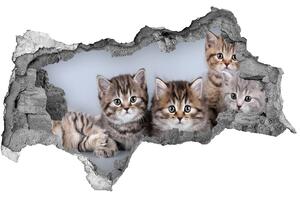 3d-s lyukat fali matrica Öt macskák
