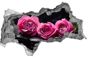 3d-s lyukat fali matrica Rózsaszín rózsa