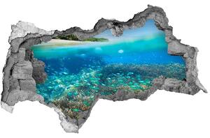 3d-s lyukat fali matrica Korallzátony
