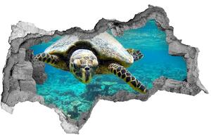Lyuk 3d fali matrica Tengeri teknős