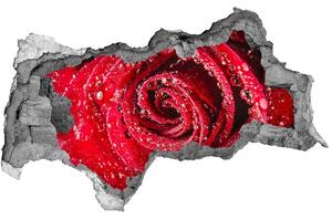 Lyuk 3d fali matrica Vízcseppek egy rózsa