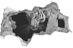 Lyuk 3d fali matrica Tigris