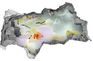 Lyuk 3d fali matrica Fehér orchidea